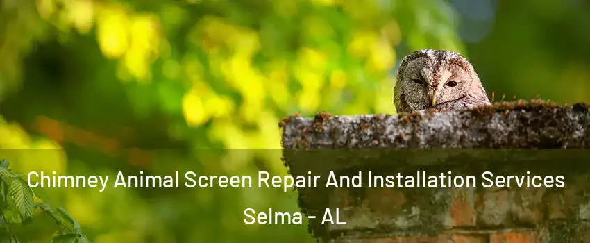  Chimney Animal Screen Repair And Installation Services Selma - AL