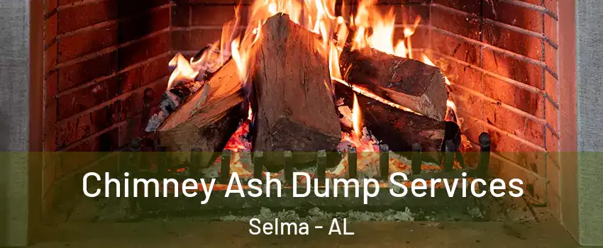  Chimney Ash Dump Services Selma - AL