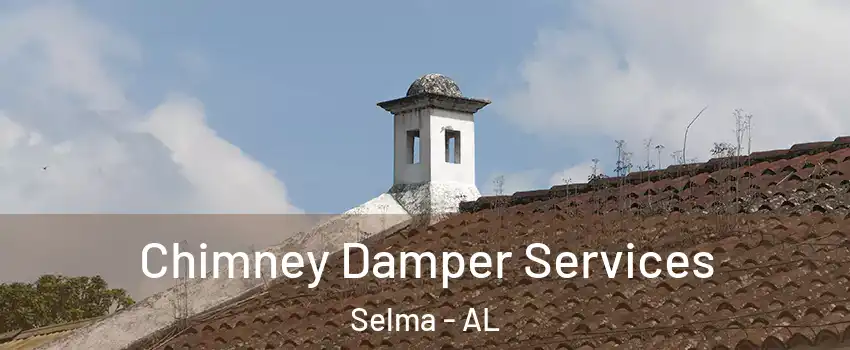  Chimney Damper Services Selma - AL