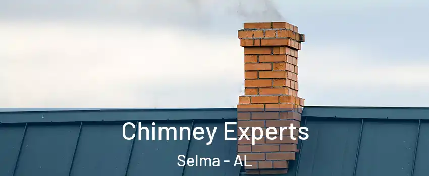 Chimney Experts Selma - AL