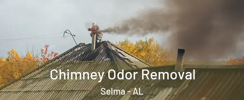  Chimney Odor Removal Selma - AL
