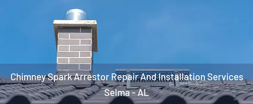  Chimney Spark Arrestor Repair And Installation Services Selma - AL