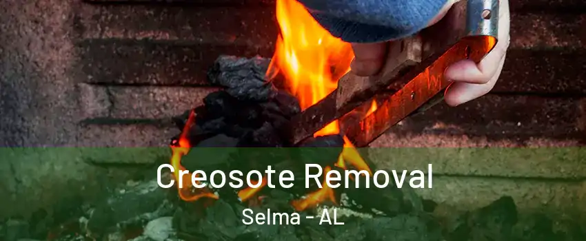 Creosote Removal Selma - AL
