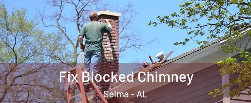  Fix Blocked Chimney Selma - AL
