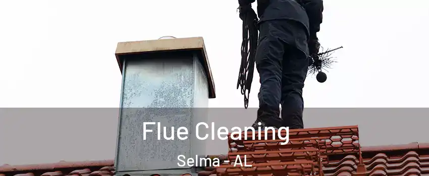  Flue Cleaning Selma - AL