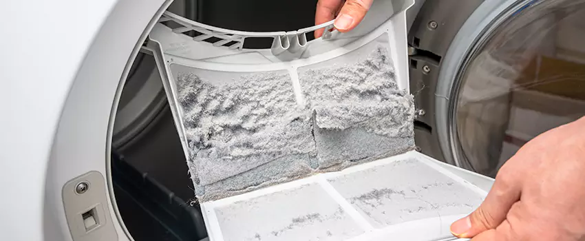 Best Dryer Lint Removal Company in Selma, Alabama