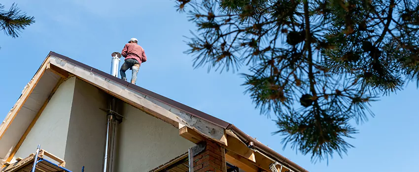 Birds Removal Contractors from Chimney in Selma, AL